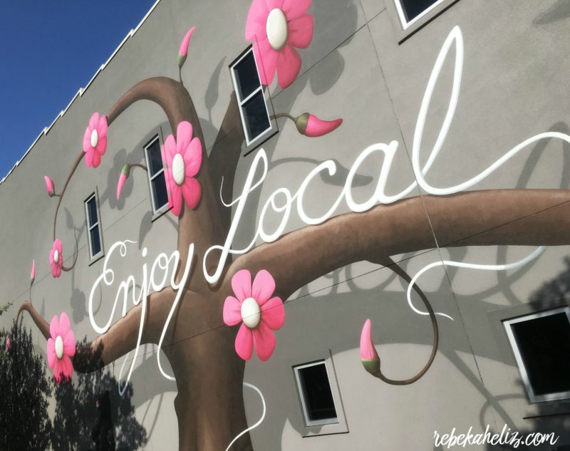 enjoy local mural, megaphone summit 2016, fayetteville, arkansas, downtown, mural