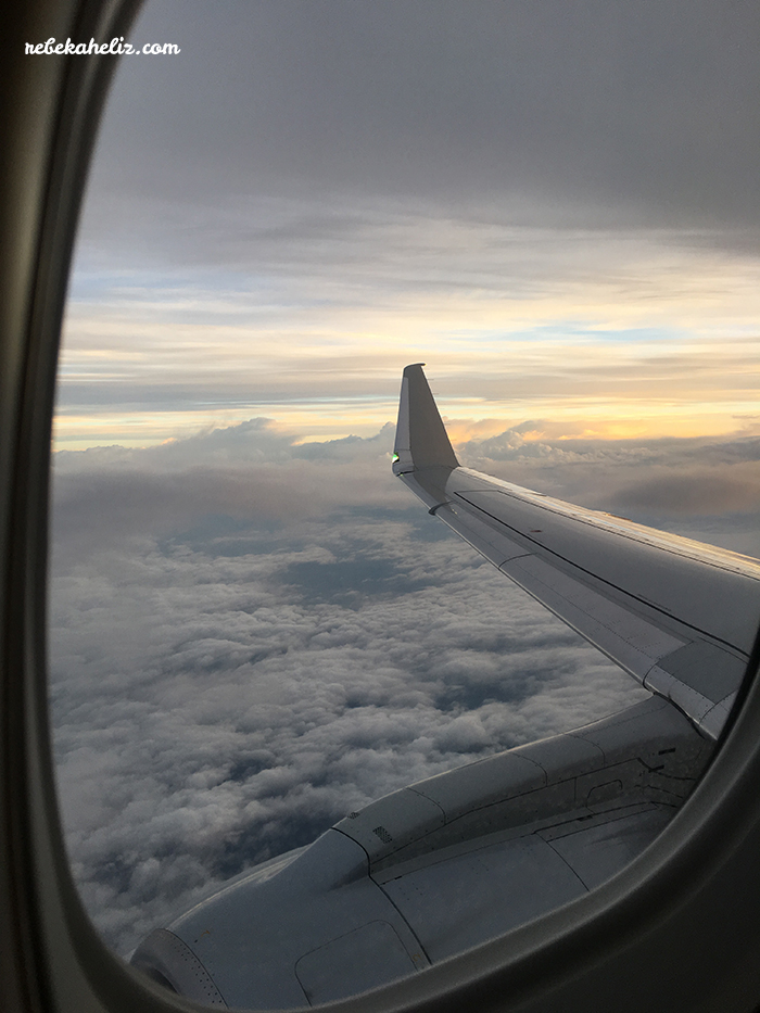 airplane, american airlines, sunrise, airplane wing, in the sky, flying