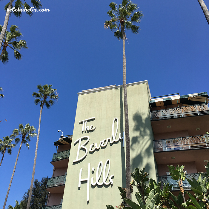 beverly hills, california, beverly hills hotel, palm tree