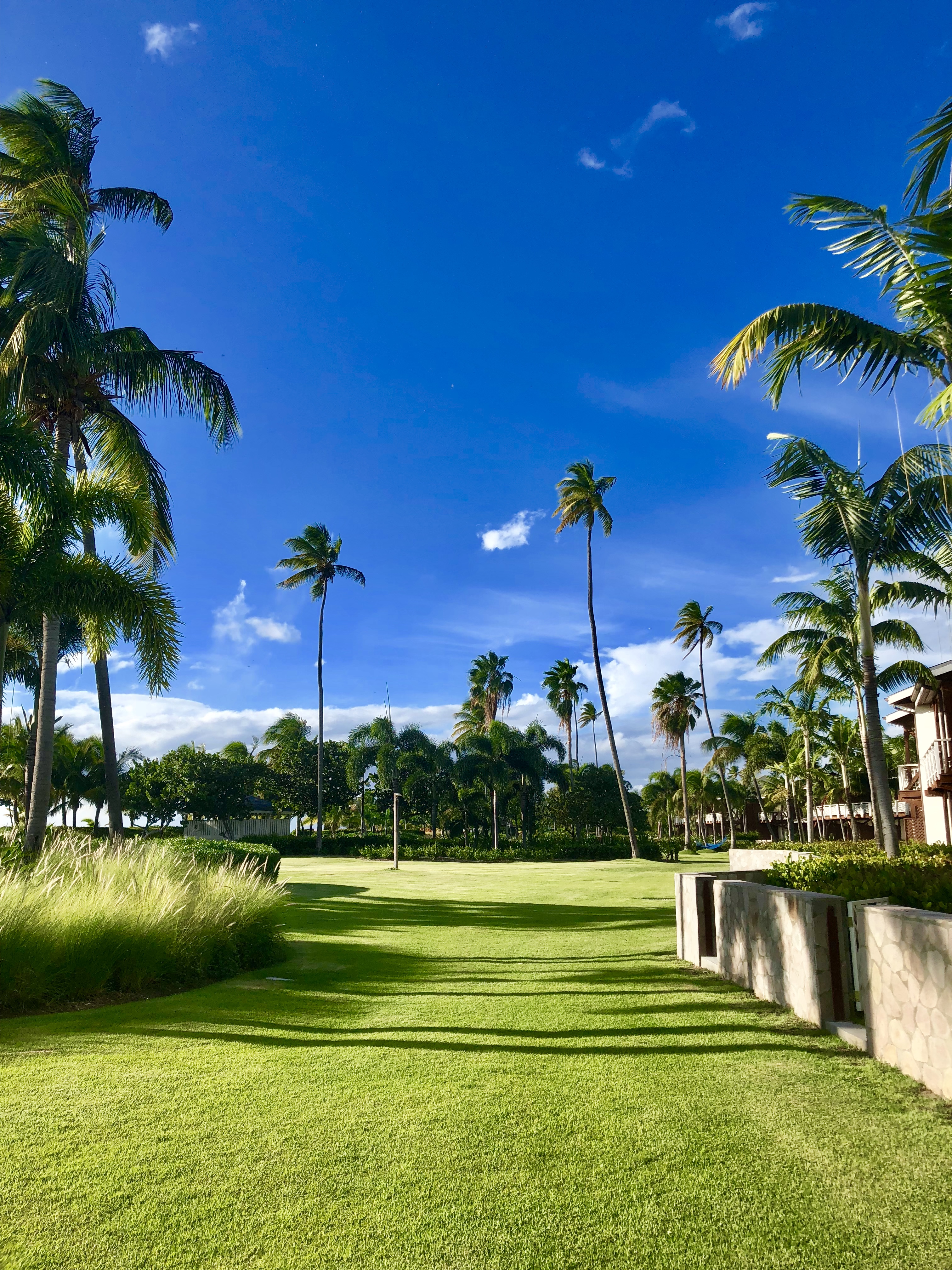 four seasons, four seasons nevis, st. kitts, nevis, caribbean, resort, hotel, ocean, pool, spa, massage